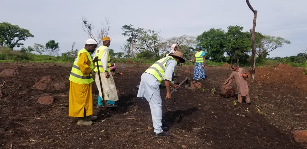 Community members working together at the Lolo Farm, Cameroon, April 2024